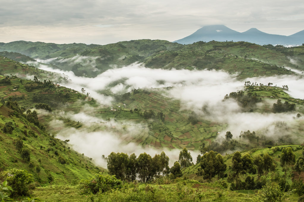 Bwindi National Park Uganda