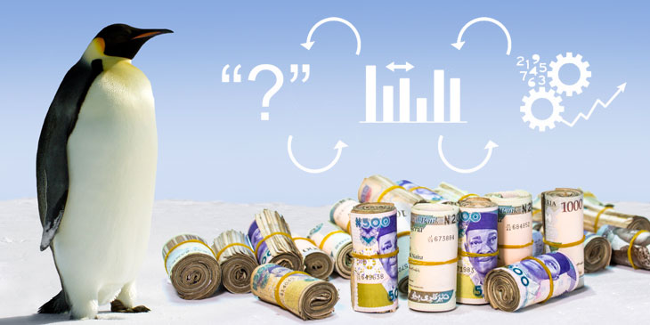 penguin with rolls of Nigerian currency