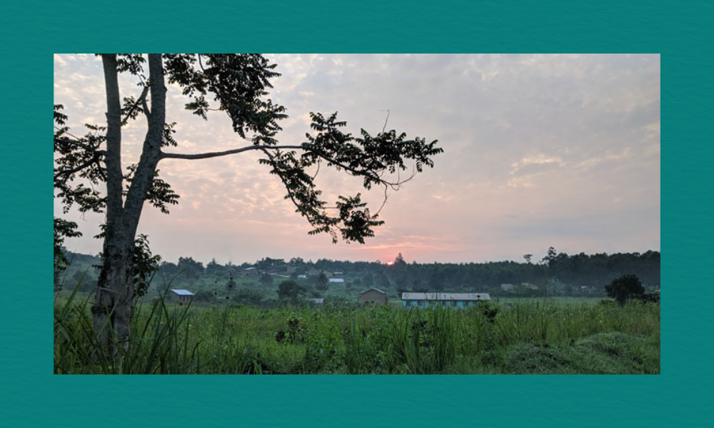 A peaceful rural landscape at sunrise or sunset, with a tall silhouetted tree in the foreground, grassy fields and small buildings in the middle ground, and a softly glowing pink‑orange sky above a distant line of trees.